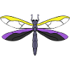 Nonbinary Pride Dragonfly