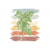 Herbal Basil-Herb Retro Design