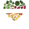 Nutritionist Dietitian Dietitian