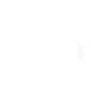 Pingouins Pingouins