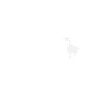 Goose Geese