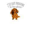Long Haired Dachshund