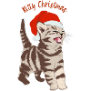Christmas kittens