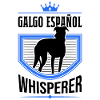 Galgo Español Whisperer Spanischer Windhund