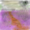 Grass Meadow