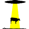 Cow UFO Kidnapping