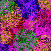 Abstraction florale
