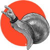 Metal Slug