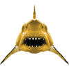 Requin doré
