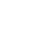 Fahrlehrer