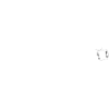Akkordeon Evolution