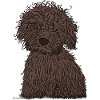 Chiot chien d’eau