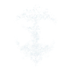 Skull Symmetrie