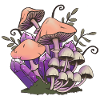 Mushrooms and crystals