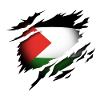 Palestine at heart