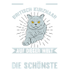 Katzen Britisch Kurzhaar