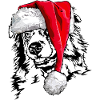 Santa AUSTRALIAN SHEPHERD Noël Wilsigns