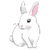 weißer Hase sitzend