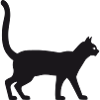 Katze steht