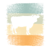 Vache
