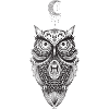 Owl Moon