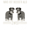 Zwei Schnauzer Hund Schnauzer