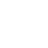 Roller coaster