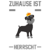 Schnauzer