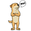 Stubborn Chinook Dog
