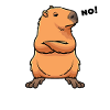 Capybara Wasserschwein