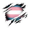 Transgender Pride at heart
