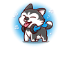 Siberian Husky