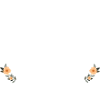 Marraine qui déchire