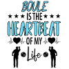 Boule Petanque Boccia Boules