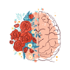 Brain