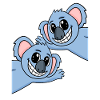 Koala Koalas