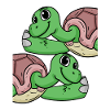 Schildkröte Schildkröten