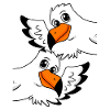 Seagull Seagulls