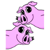 Pig Pigs