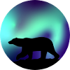 Eisbär Aurora Himmel