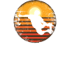 Skateboard Skateboard Ramp Skateboarder Vintage