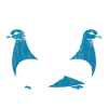 Taube Tauben Vogel