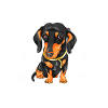 Dackel Mama Dackel Geschenk