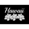 Havaiji Aloha Hibiscus Kukka Havaiji Honolulu Maui