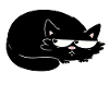rolig svart katt meh katt