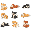 Shiba Inu