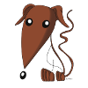 Brown Spanish Greyhound
