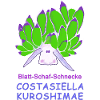 Leaf-sheep snail, Costasiella kuroshimae
