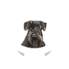 Schnauzer Schnauzer Cadeau