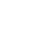 Zebra shark